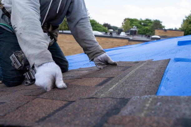 Best Storm Damage Roof Repair  in Benson, MN