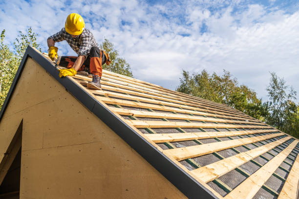 Best Roof Gutter Cleaning  in Benson, MN