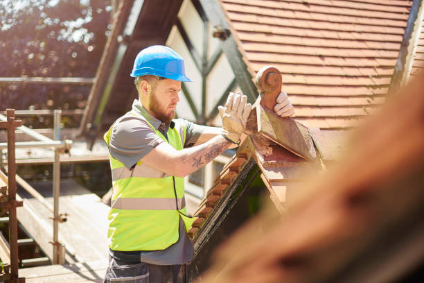 Best Roof Leak Repair  in Benson, MN