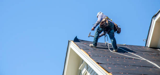 Best Roof Leak Repair  in Benson, MN